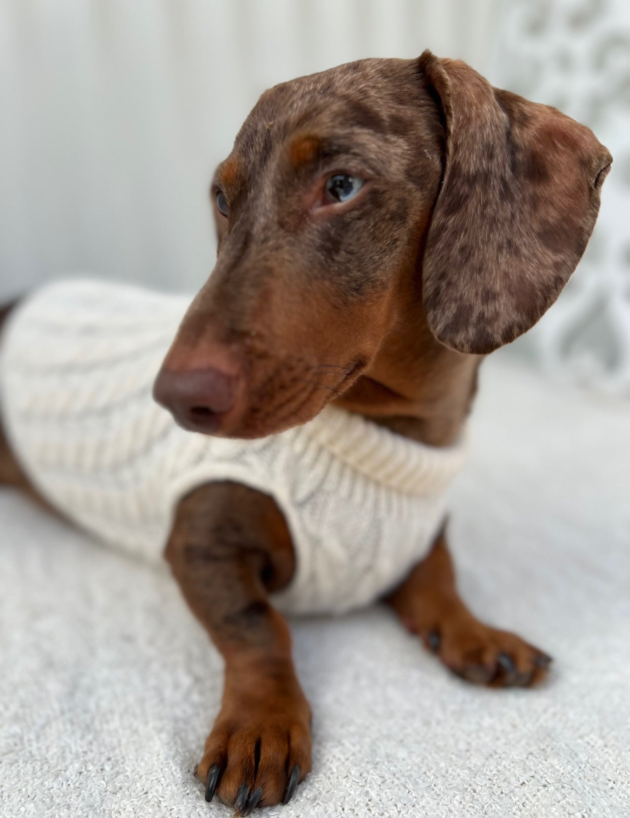 Twist Knit Sweater