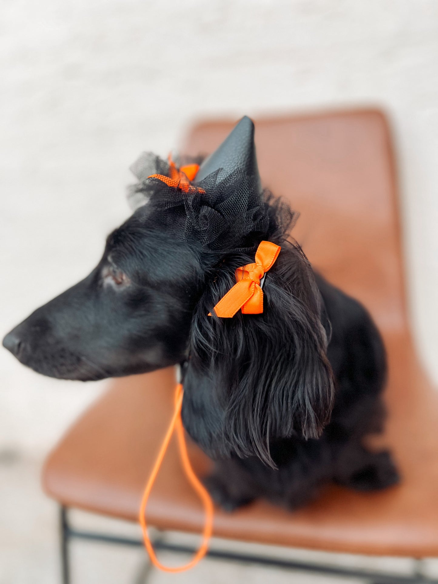 HALLOWEEN HATS