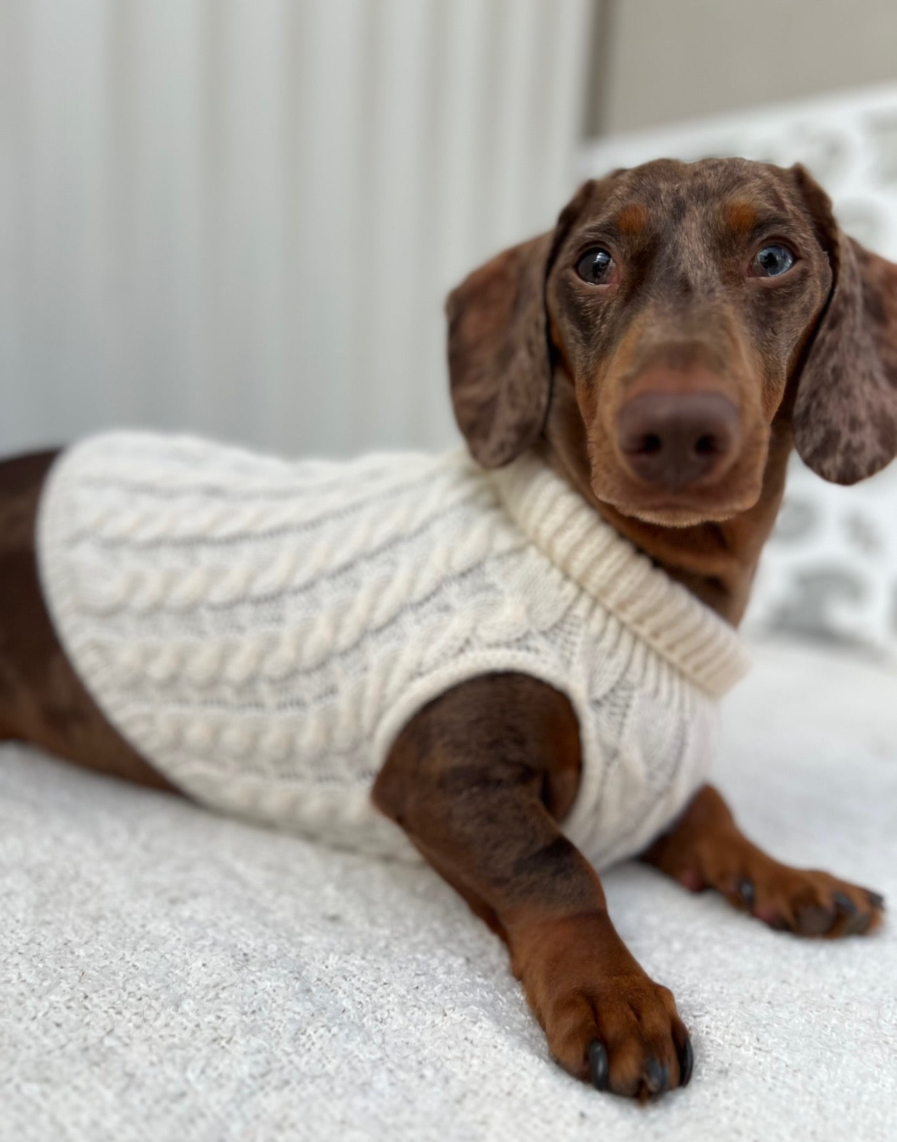 Twist Knit Sweater