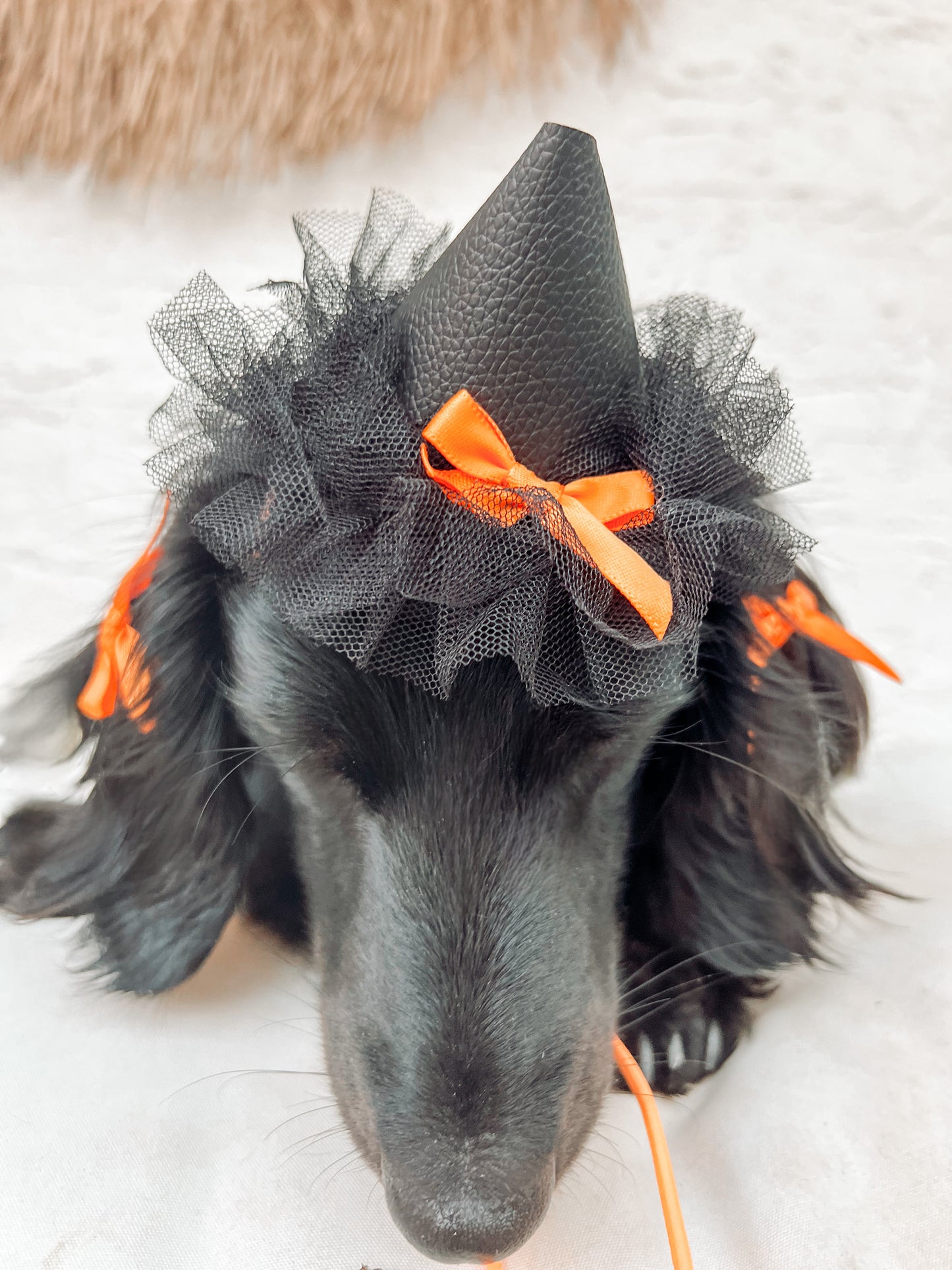 HALLOWEEN HATS