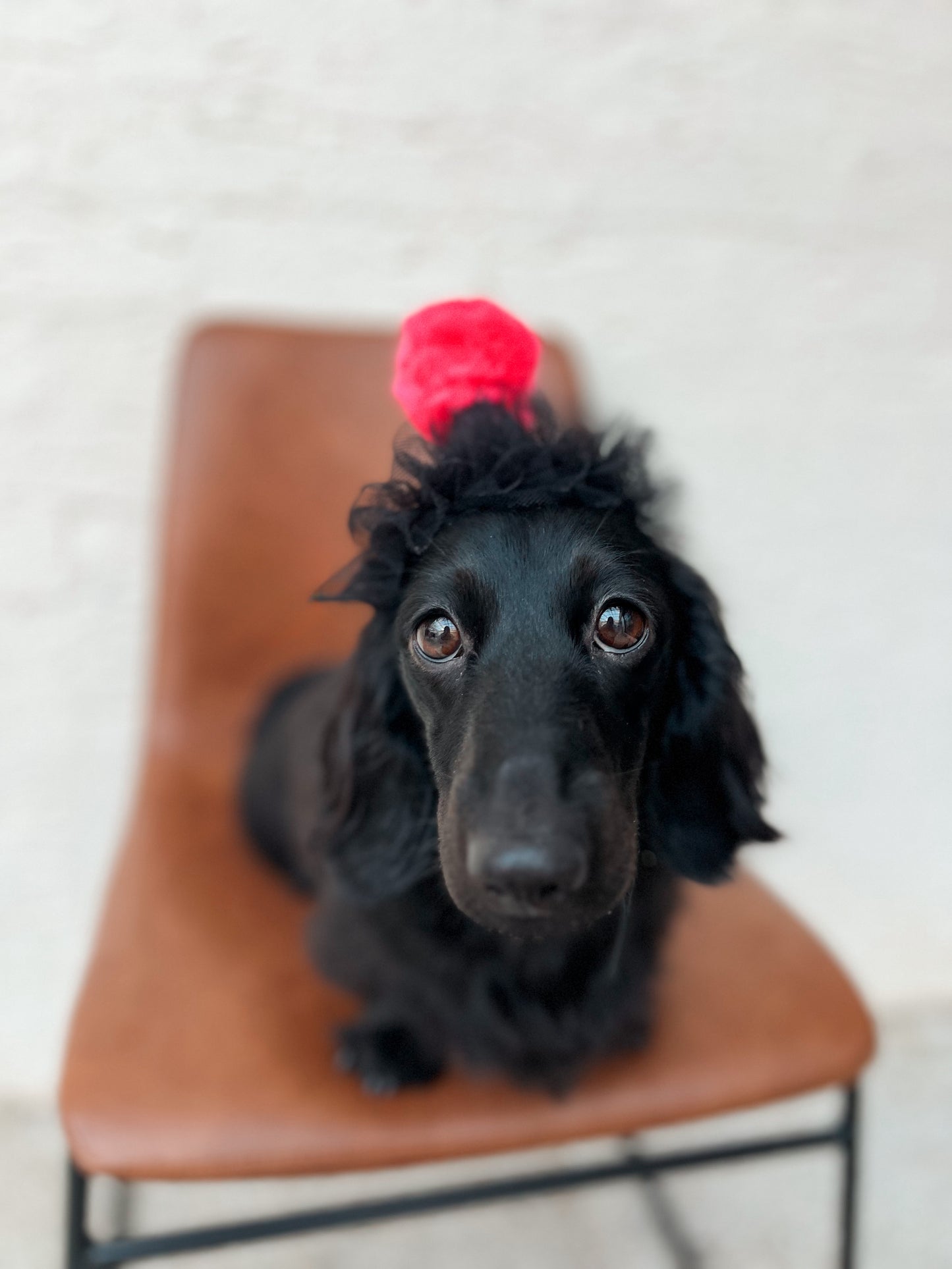 HALLOWEEN HATS