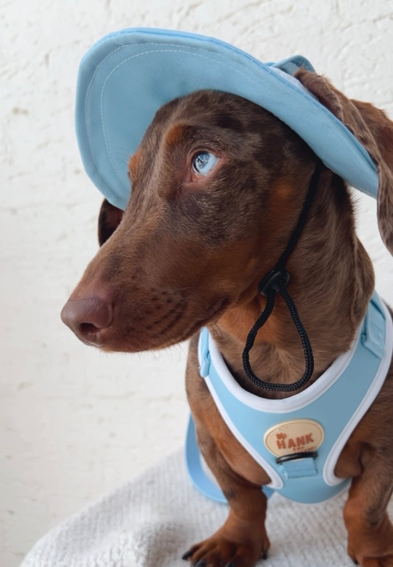 Hank and me Bucket hats