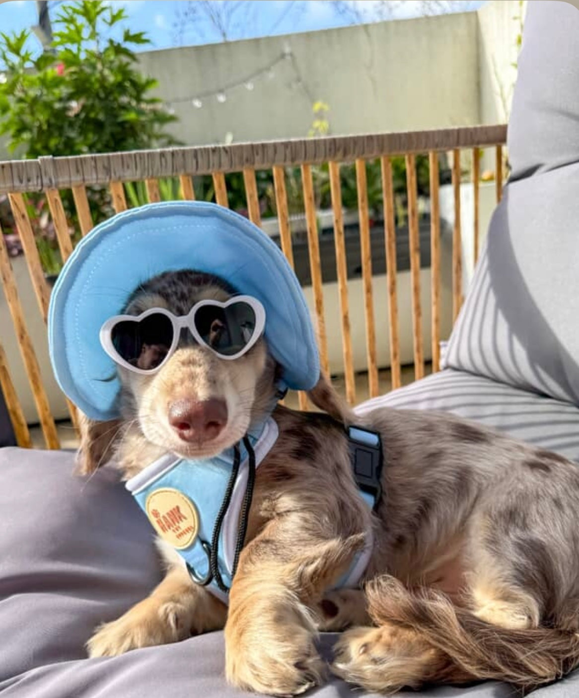 Sorbet Yellow Sky Blue Sets