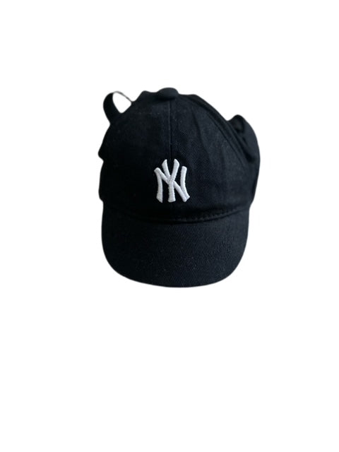 Pet Hat