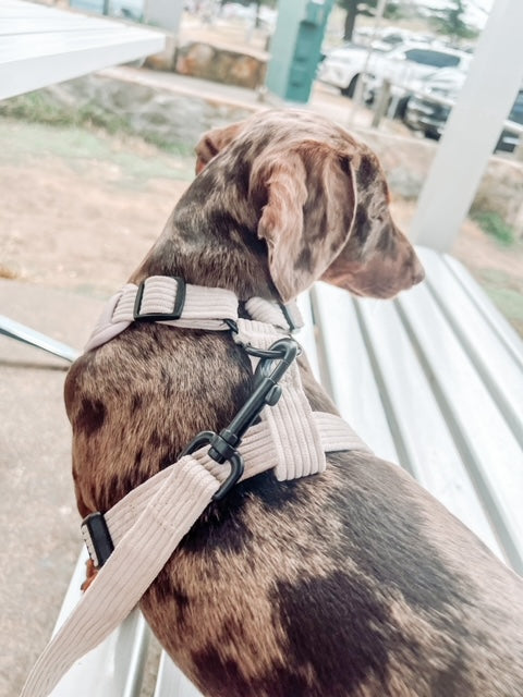 Harnesses