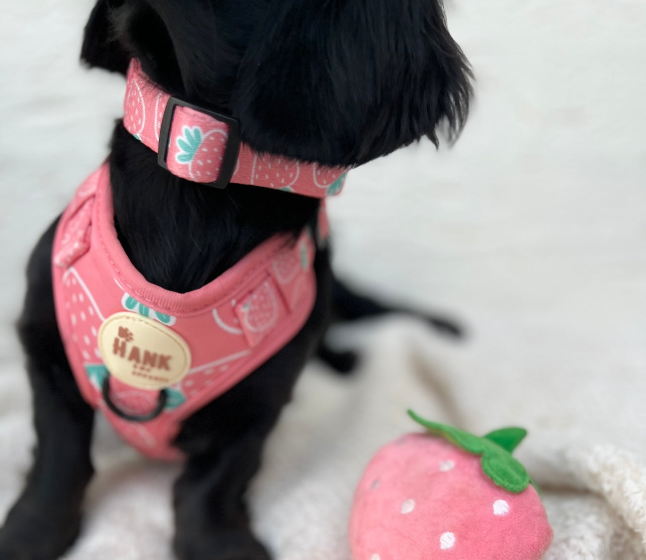 Berry Cute Harness Set