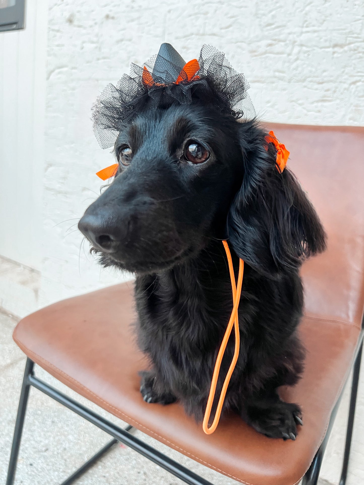 HALLOWEEN HATS