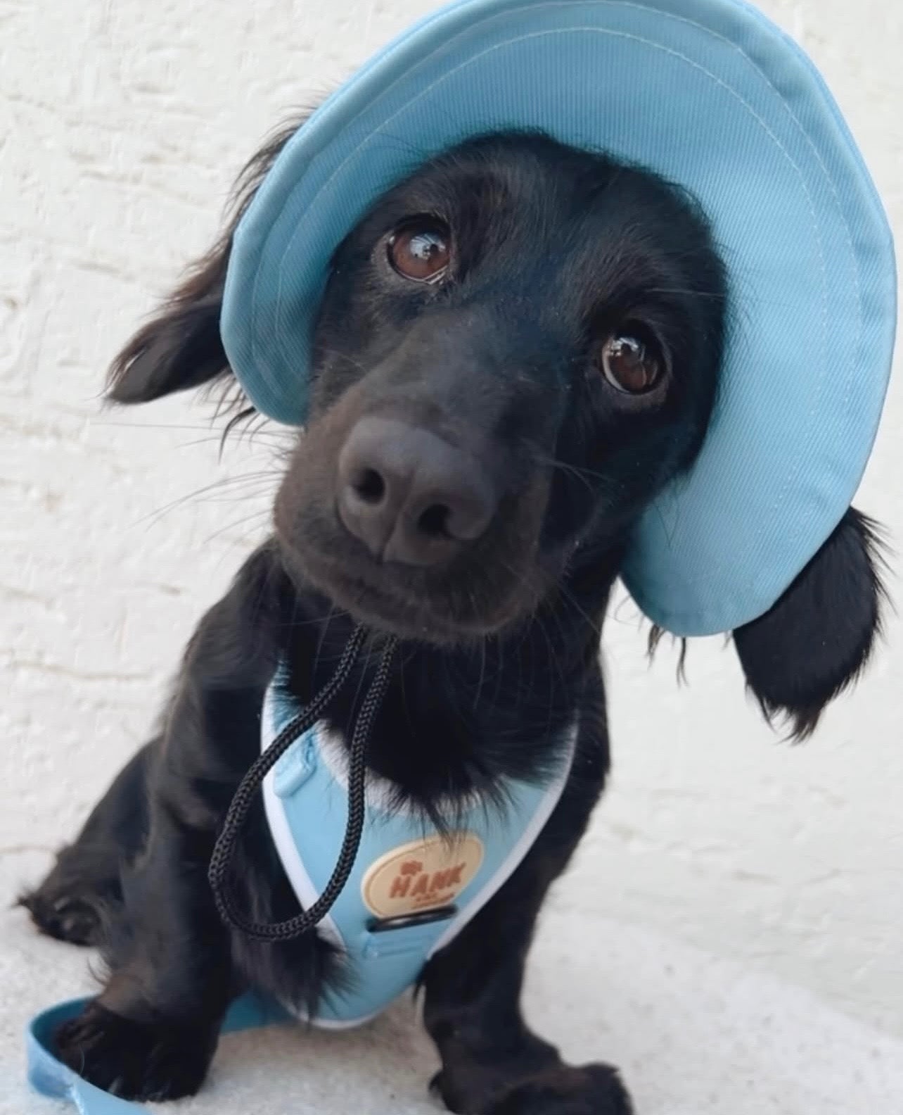 Sorbet Yellow Sky Blue Sets