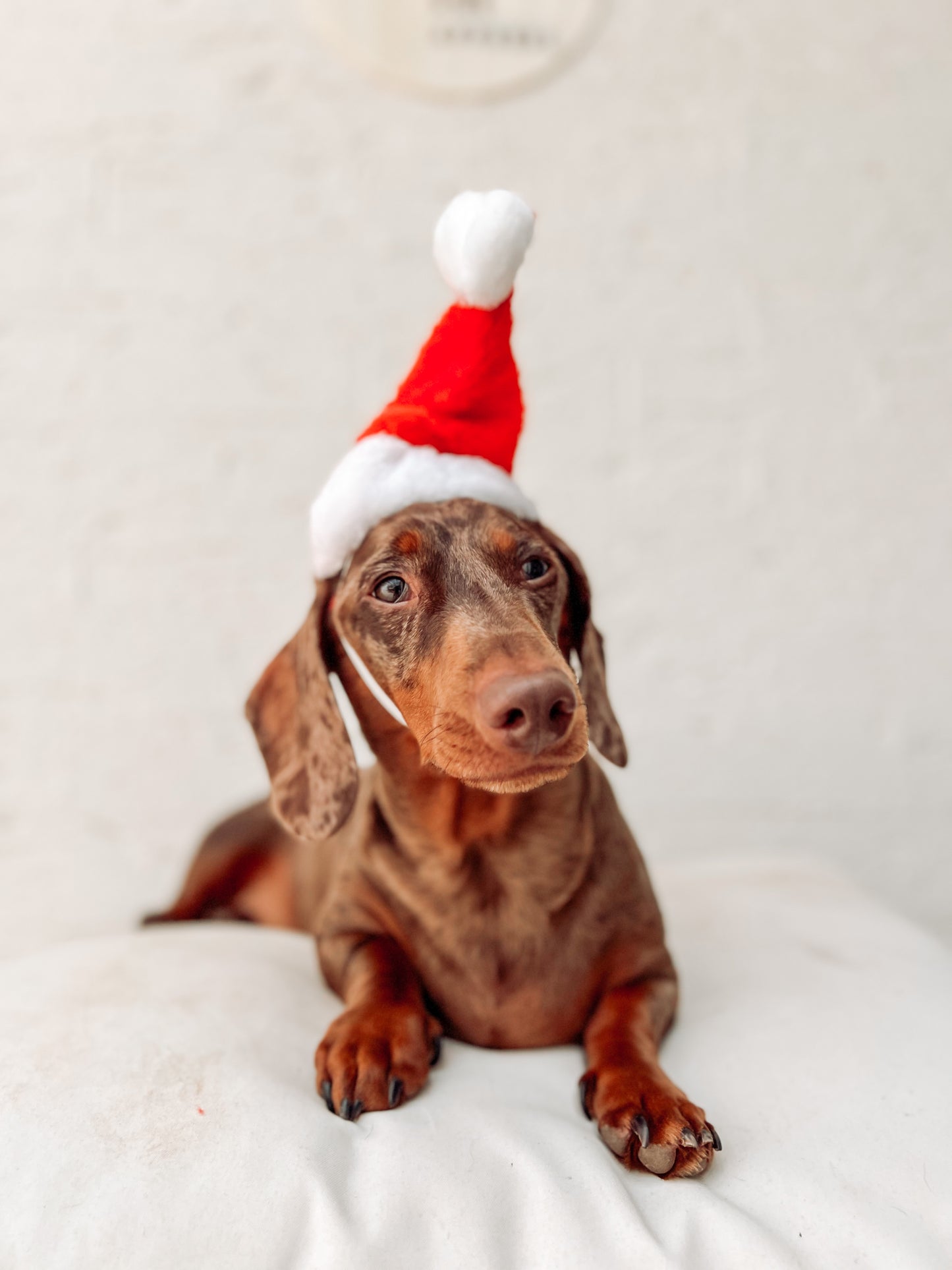 SANTA HATS