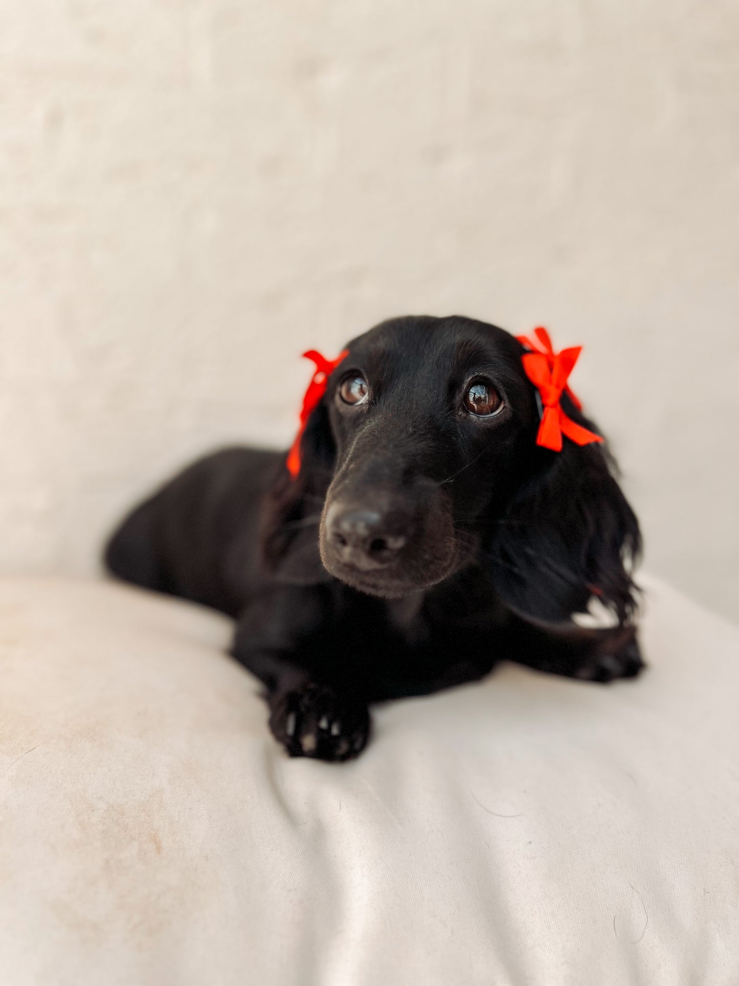 Christmas hair accessories