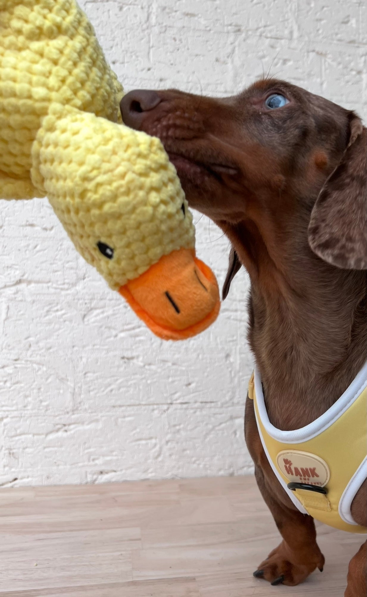 Plush Toys