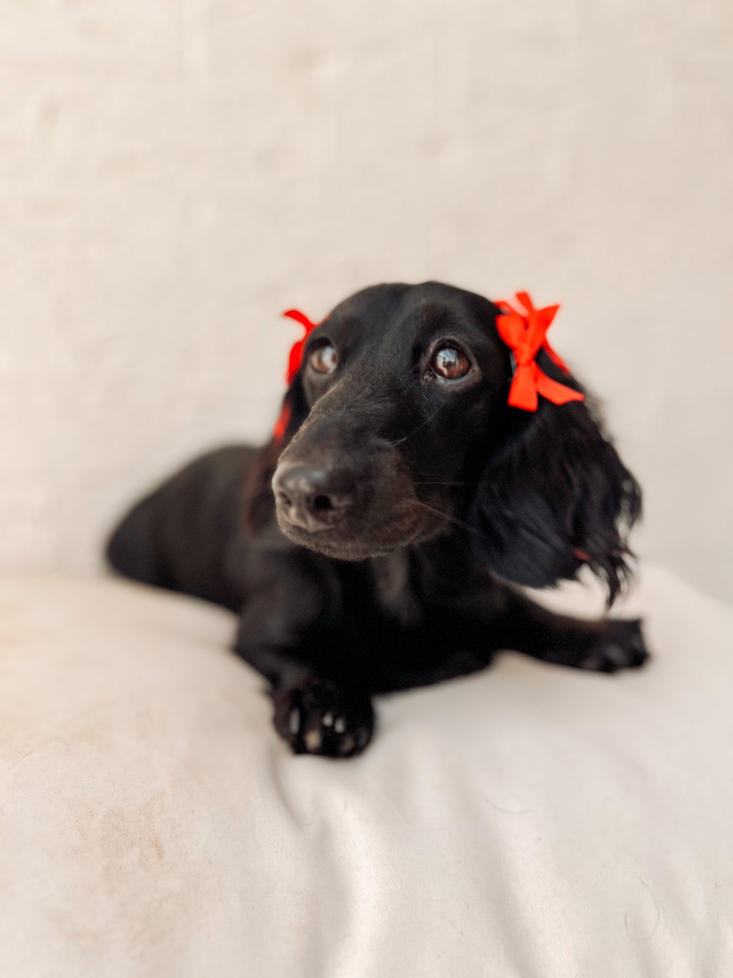 Christmas hair accessories