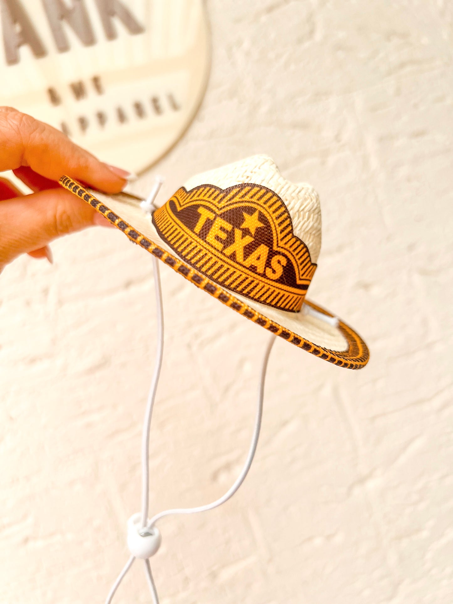 Texas Hat