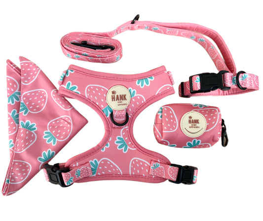 Berry Cute Harness Set