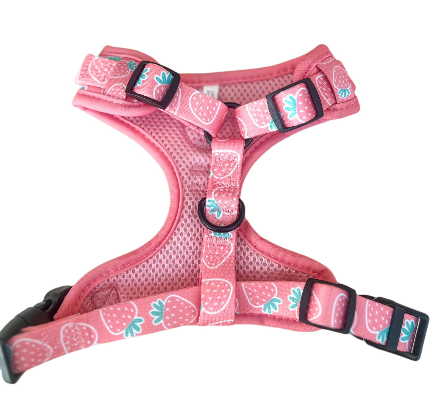 Berry Cute Harness Set