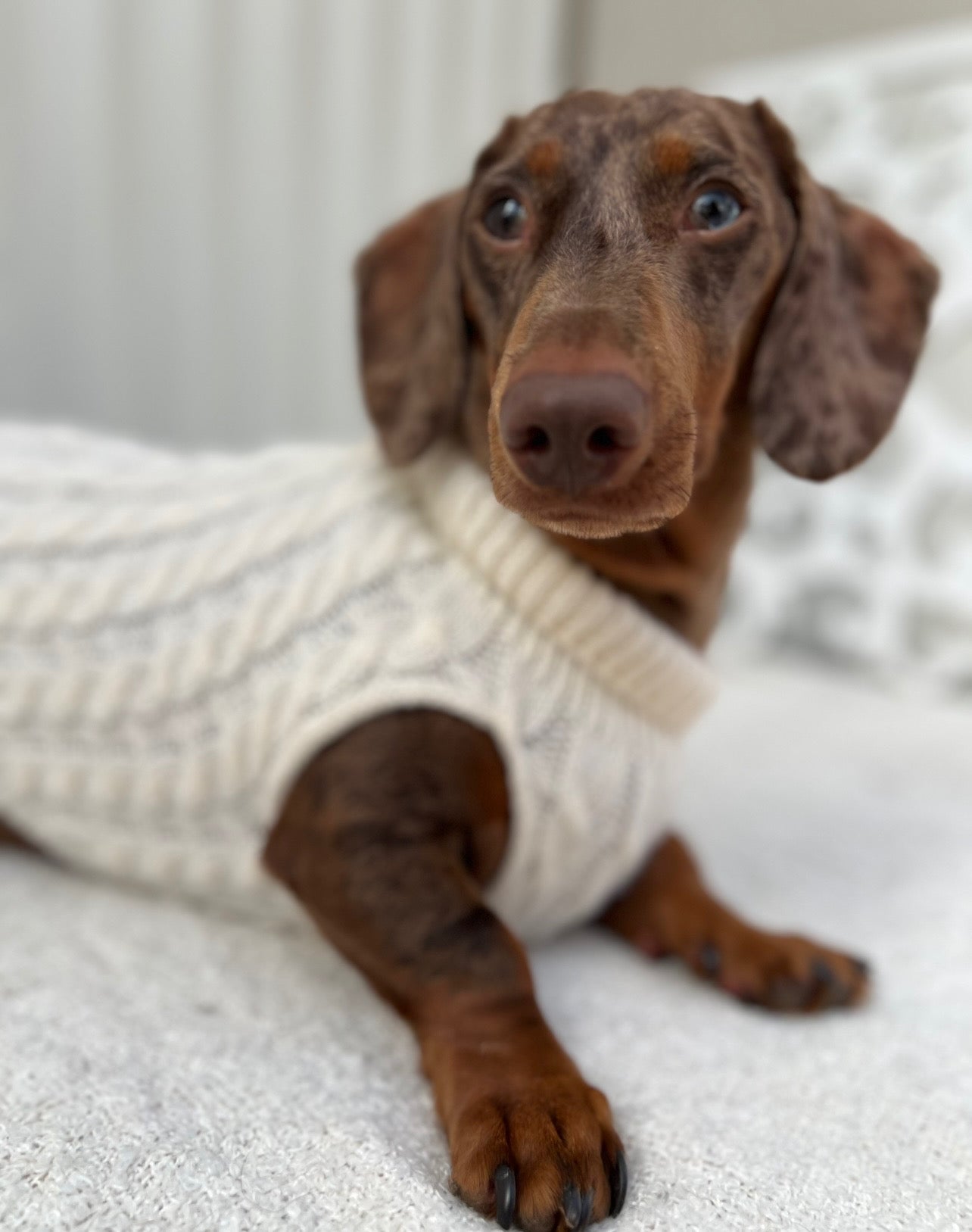 Twist Knit Sweater