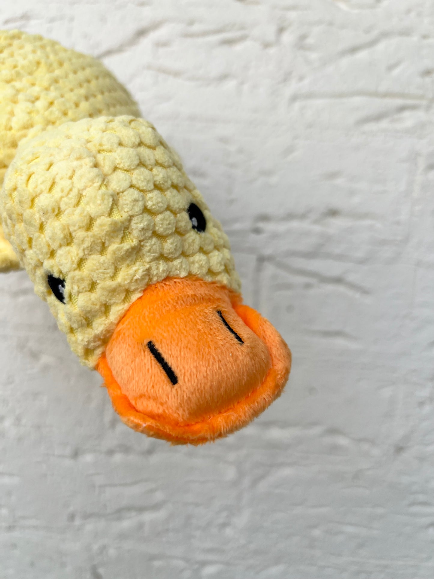 Plush Toys