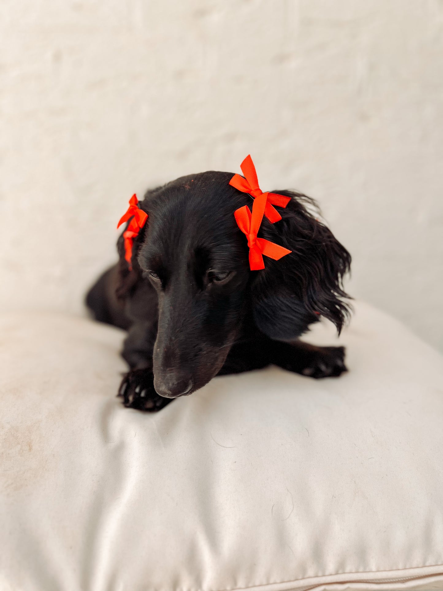 Christmas hair accessories