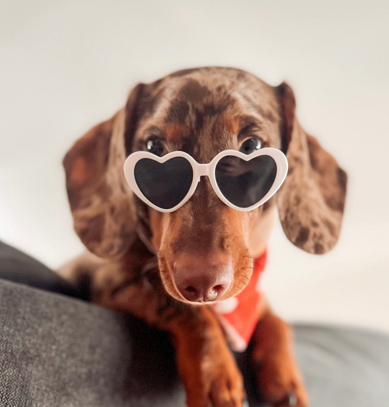 Candy Heart Sunnies