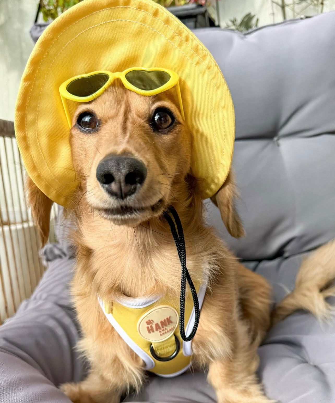 Sorbet Yellow Sky Blue Sets