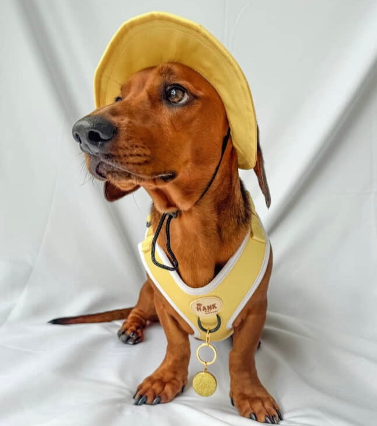 Sorbet Yellow Sky Blue Sets