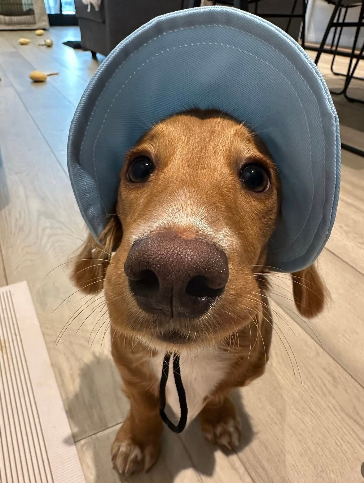 Sorbet Yellow Sky Blue Sets