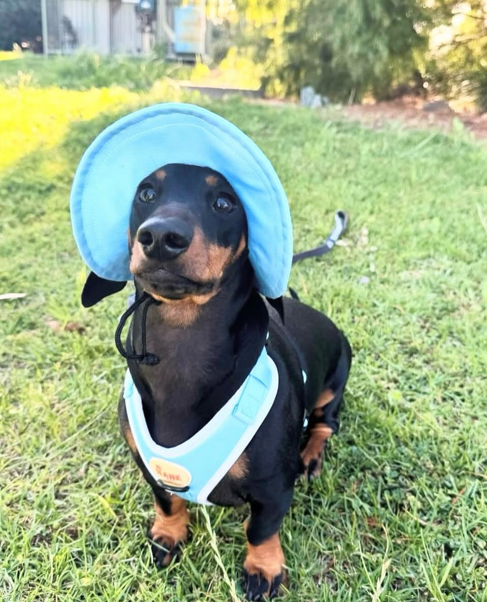 Sorbet Yellow Sky Blue Sets