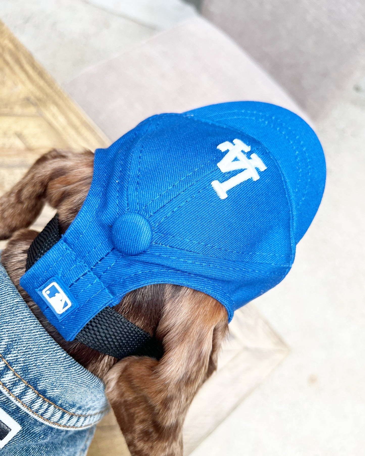 BLUE PET HAT