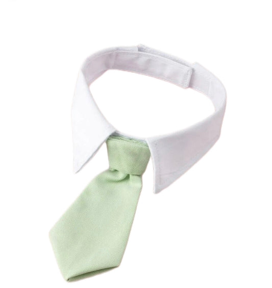 Green Bow tie