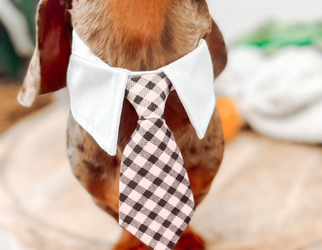 IT'S ALL BUSINESS TIE