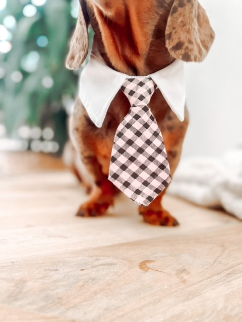 IT'S ALL BUSINESS TIE