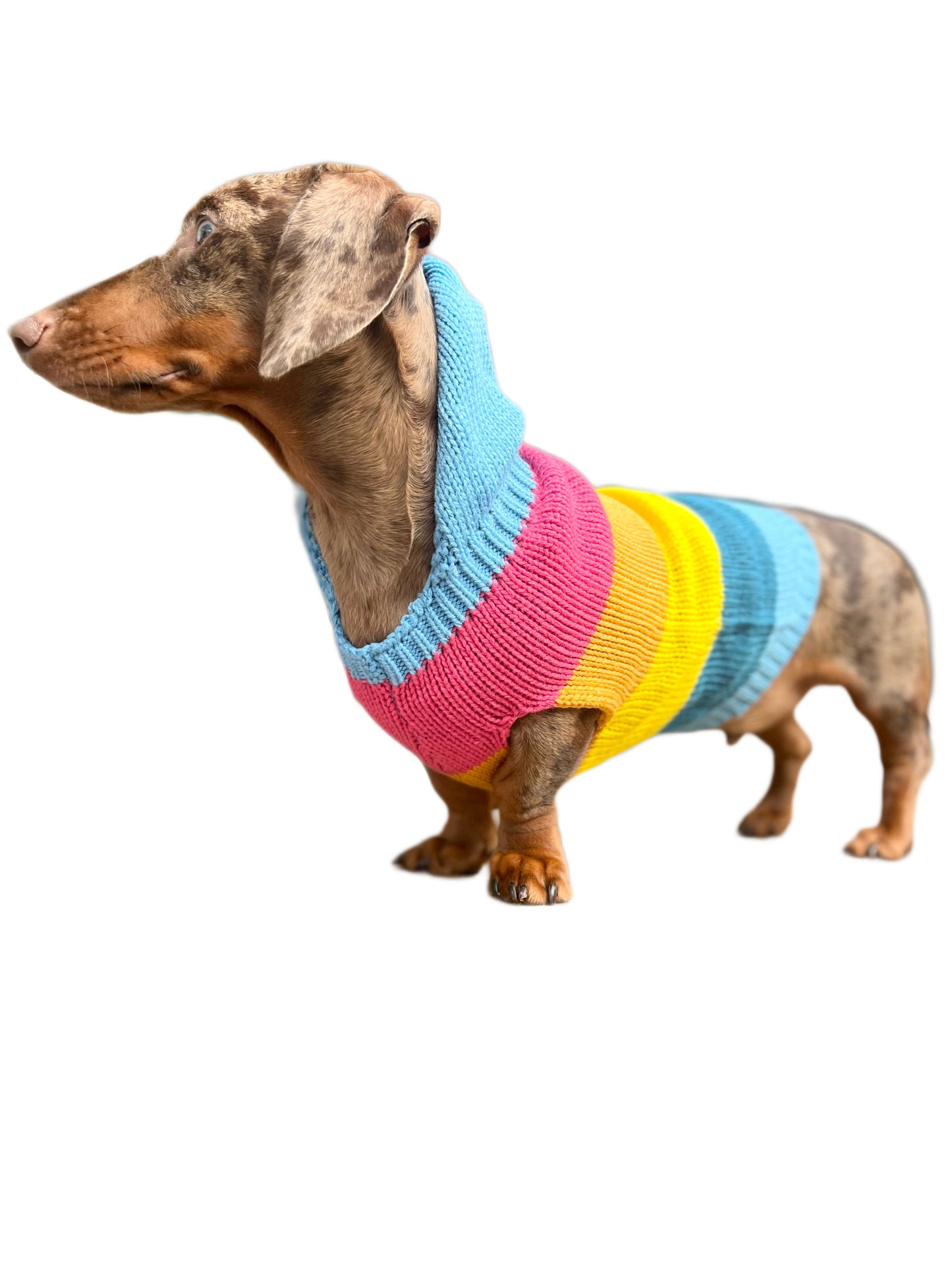 Rainbow Knit Hoodie