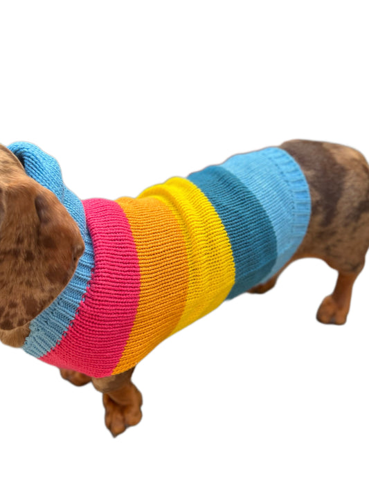 Rainbow Knit Hoodie