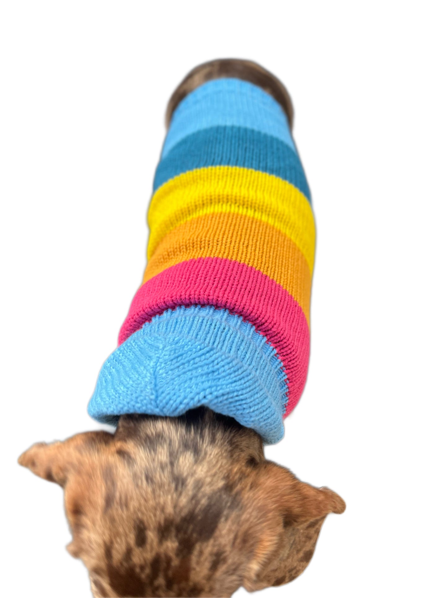 Rainbow Knit Hoodie